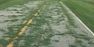 Grass clippings can be a hazard and slippery on pavement